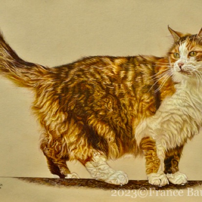 Honey - 58.5 hours
Sand Pastelmat
16 x 22.7"
Ref: My now photo